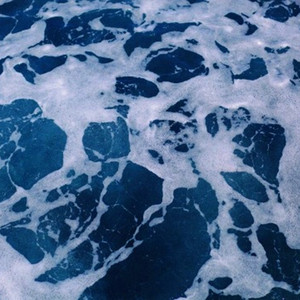 丰满熟妇大荫肉唇高潮
